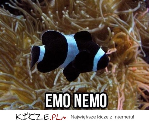 Emo Nemo