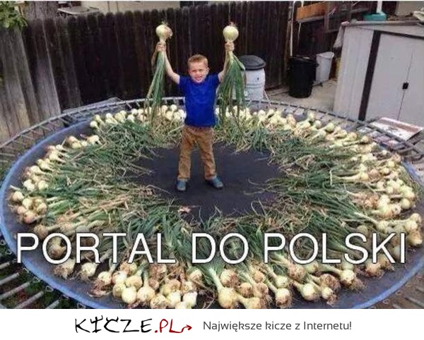 portal do polski