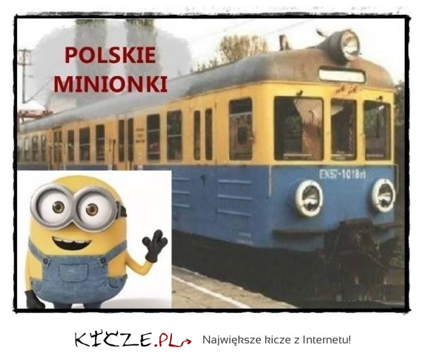 Polskie minionki