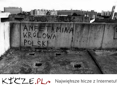 Polska state of mind
