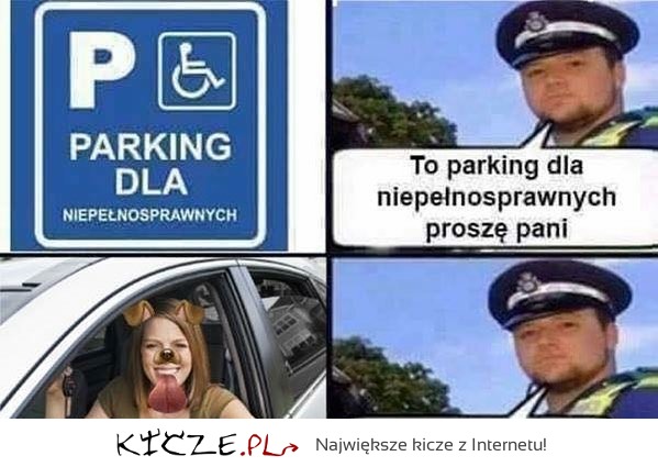 OK, wszystko w porządku! Proszę spokojnie parkować! :')