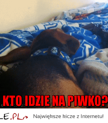 Piwko? :P