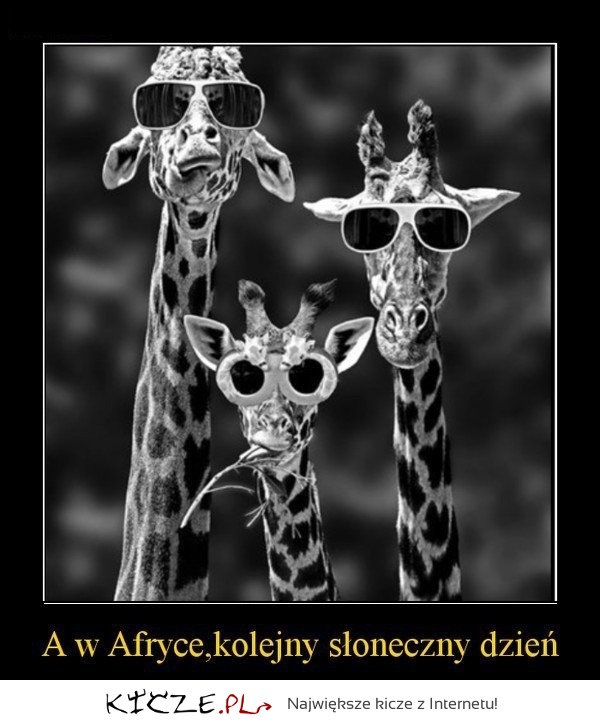 W Afryce...