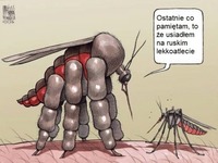 Zwykły komar kontra komar mutant! Zobacz co mu się przydarzyło XD