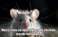 nie tylko myszy