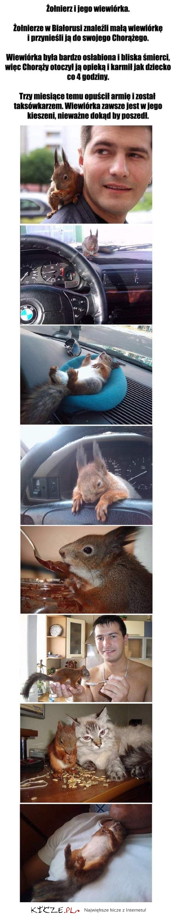 Świetna historia wiewiórki! DUŻO ZDJĘĆ!