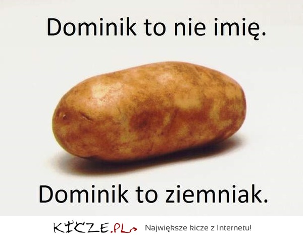 Ziemniak Dominik