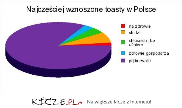 ZOBACZ najczęściej wznoszone TOASTY w Polsce, jeden toast przeważa, zgadnij jaki? :D