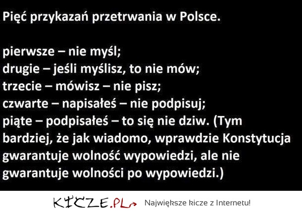 Poznaj 5 ZASAD, które pozwolą Ci przetrwać w Polsce!
