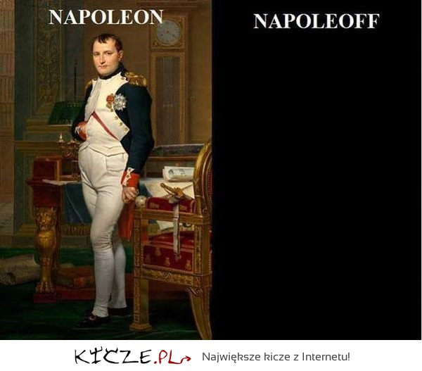 Napoleon on off