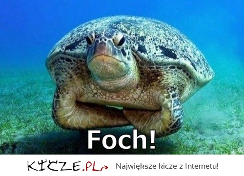 Foch!