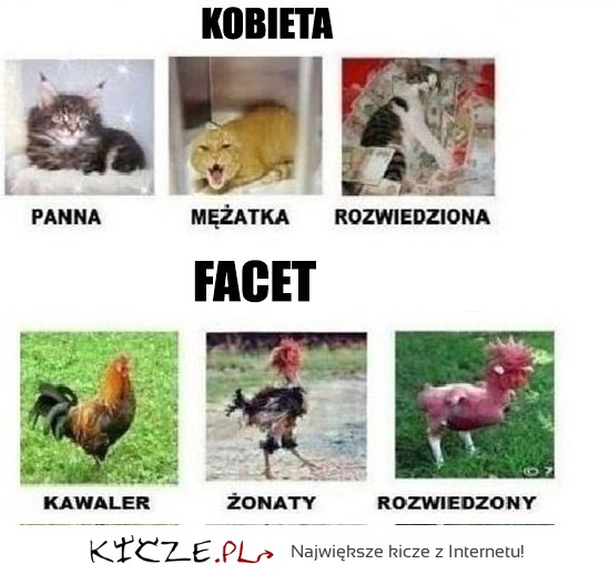 KOBIETA vs FACET! Zgadza się. ;)