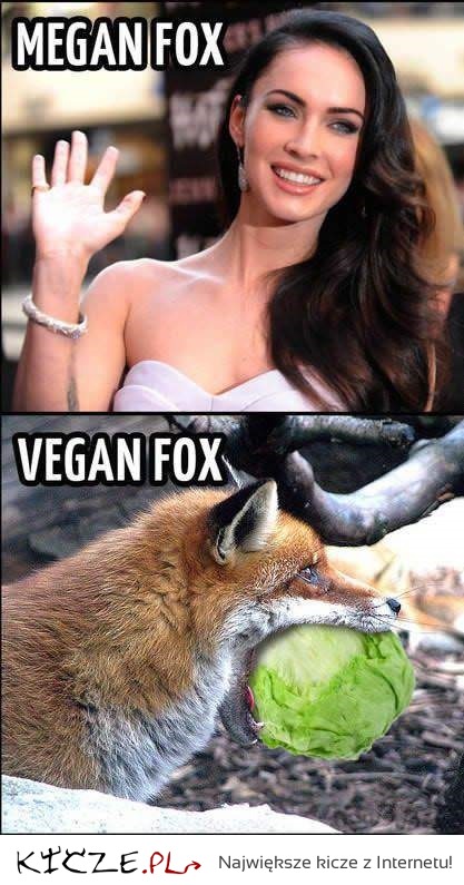 Megan vs Vegan