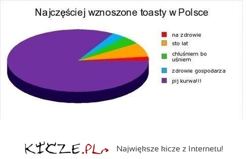 Najczęściej wznoszone toasty w Polsce :D