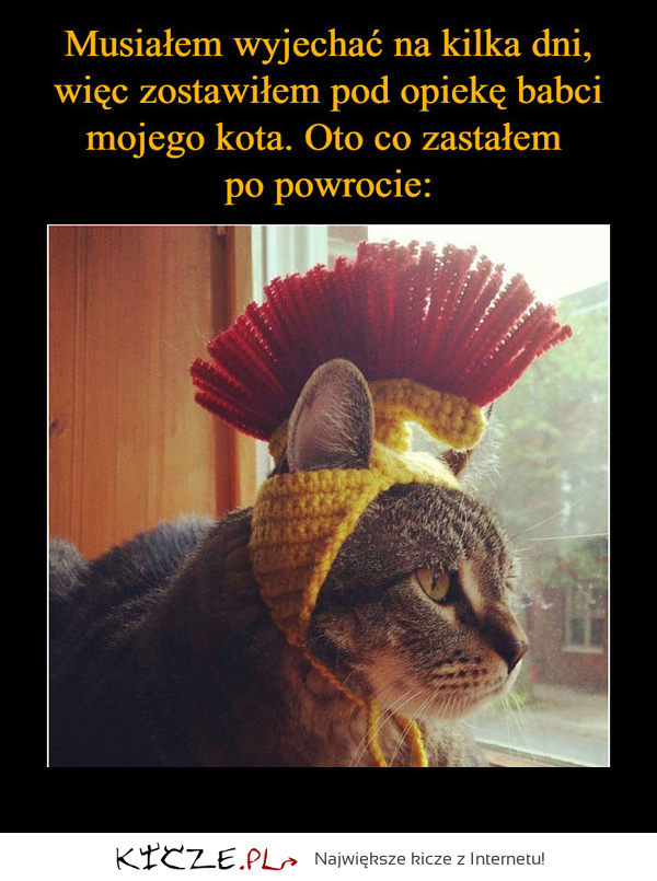 To się nazywa kreatywność!