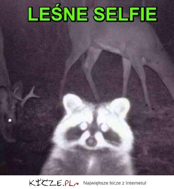 Leśne selfie