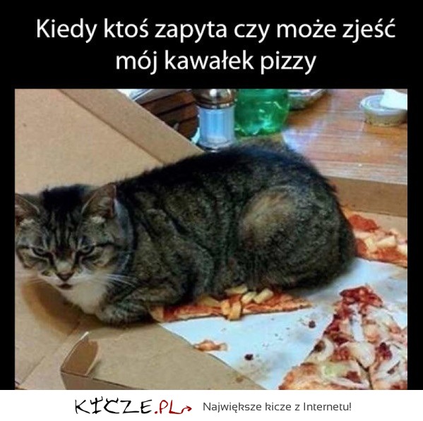 Moja pizza