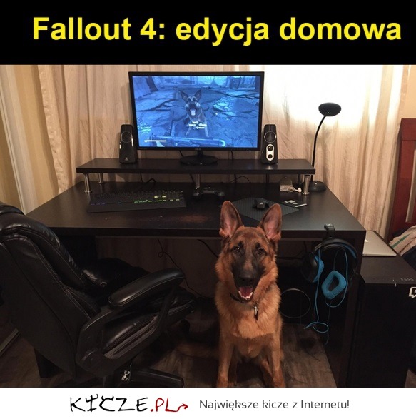 Fallout 4 EDYCJA DOMOWA