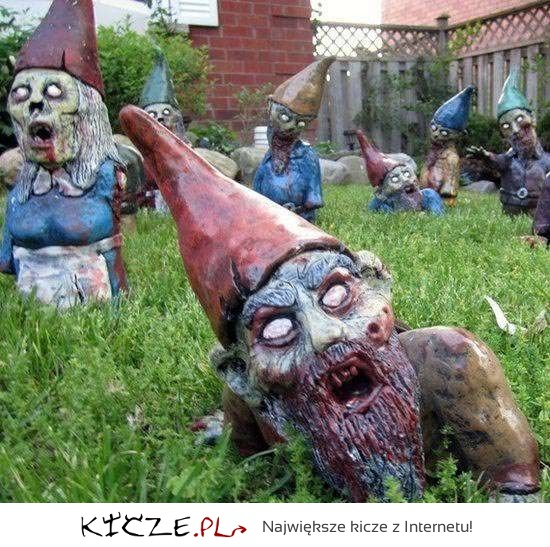 Zombie garden- milusio