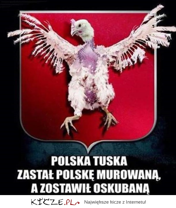 Polska Tuska