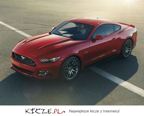 Nowy Mustang