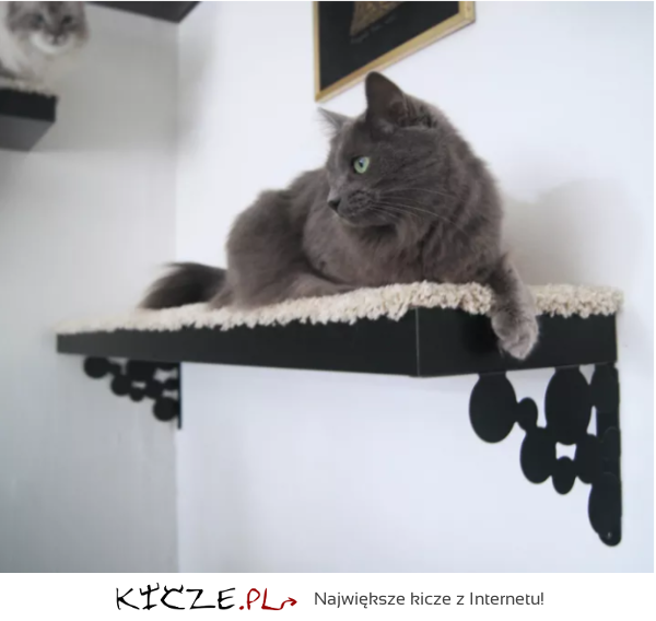 11 niesamowitych mebli z IKEI, które ucieszą Ciebie i Twojego kota!