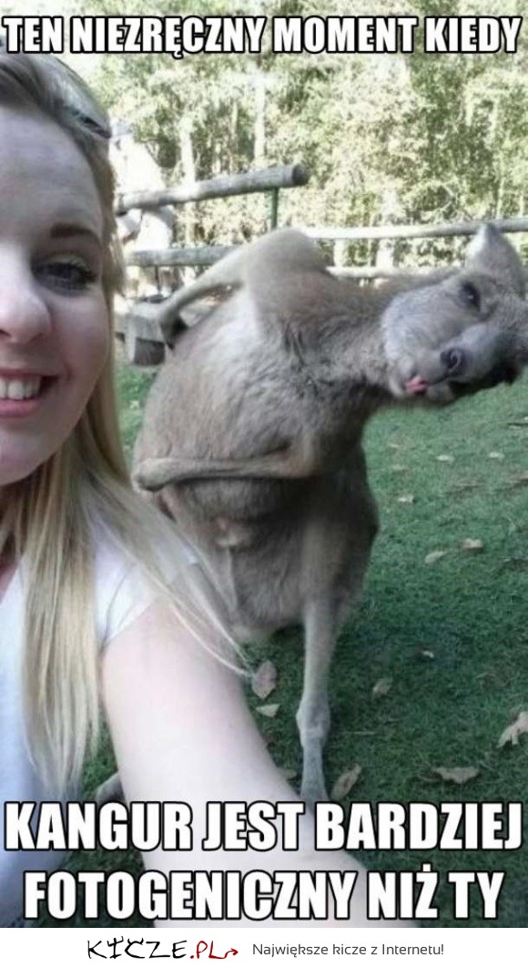 Selfie z kangurem