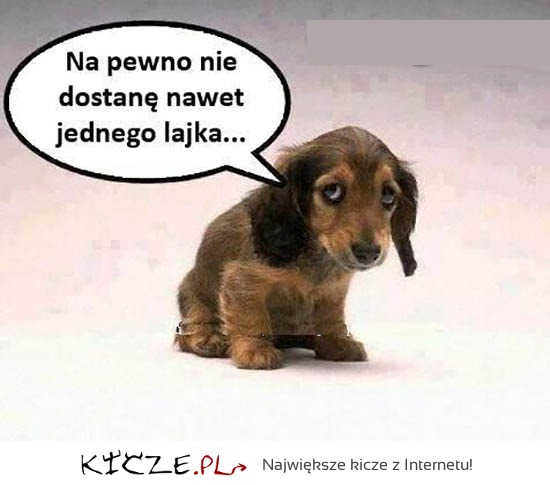 Daj lajka nie bądź taki