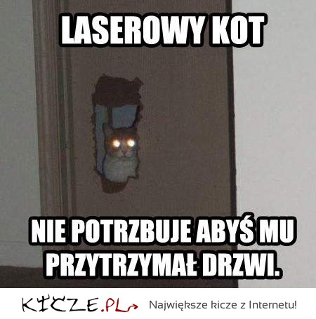 laserowy kot