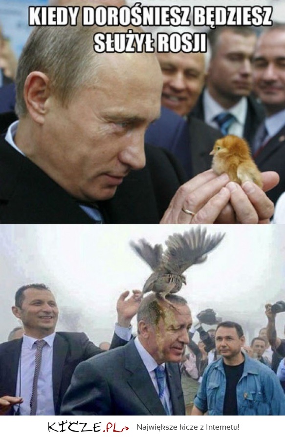 Ptaszek Putina
