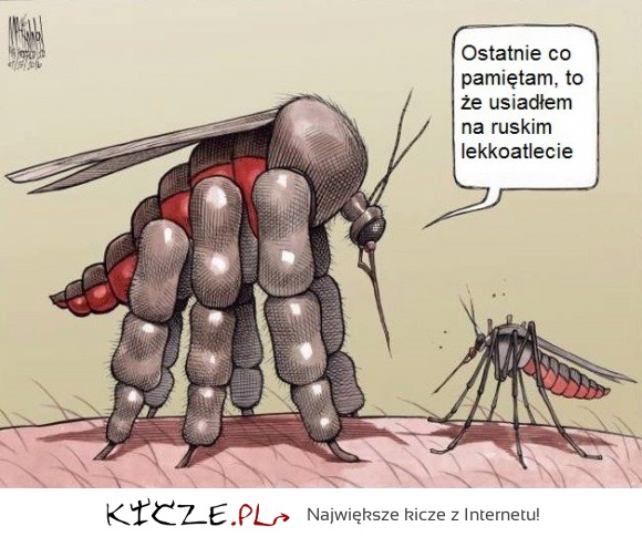 Zwykły komar kontra komar mutant! Zobacz co mu się przydarzyło XD