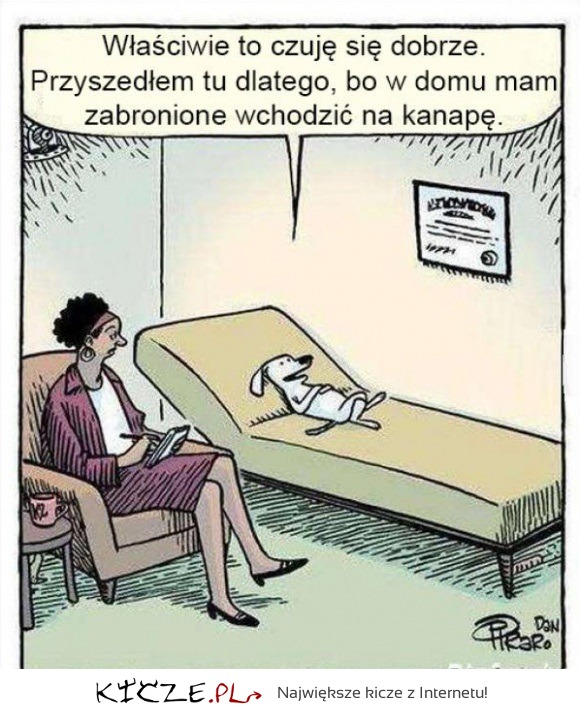 Co mówi pies u psychiatry? :D Będziesz w szoku! :D