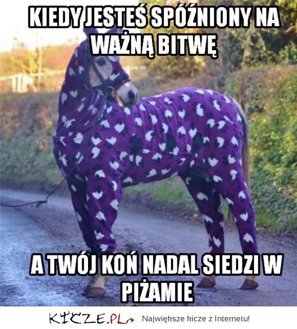 Koń w piżamie
