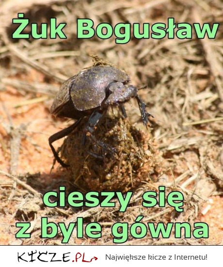 Żuk Bogusław :)