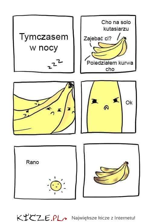 Haha zagadka rozwiązana! Dlaczego banany czernieją w nocy XD PADNIESZ :)