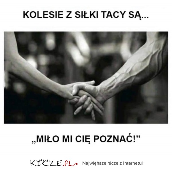 Ziomki z siłowni
