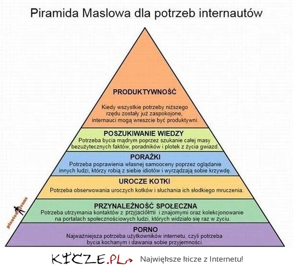 Piramida specjalnie dla INTERNAUTÓW-sprawdź!