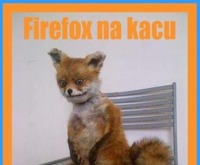 Firefox na kacu