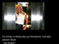 Blondynka w windzie