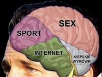 mózg mężczyzny