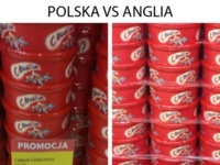 Polska vs Anglia