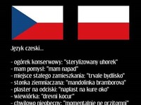 Słownik polsko-czeski! HAHA BEKA ;D