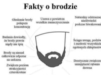 Najlepsze fakty o brodzie! ZOBCZ czy warto zapuszczać