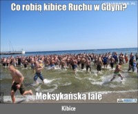 Co robia kibice Ruchu w Gdyni?