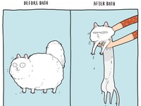 Te komiksy grupy Lingvistov zrozumie tylko ten, kto ma kota