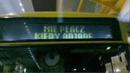 Kochany autobus