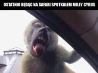 Miley w safarii